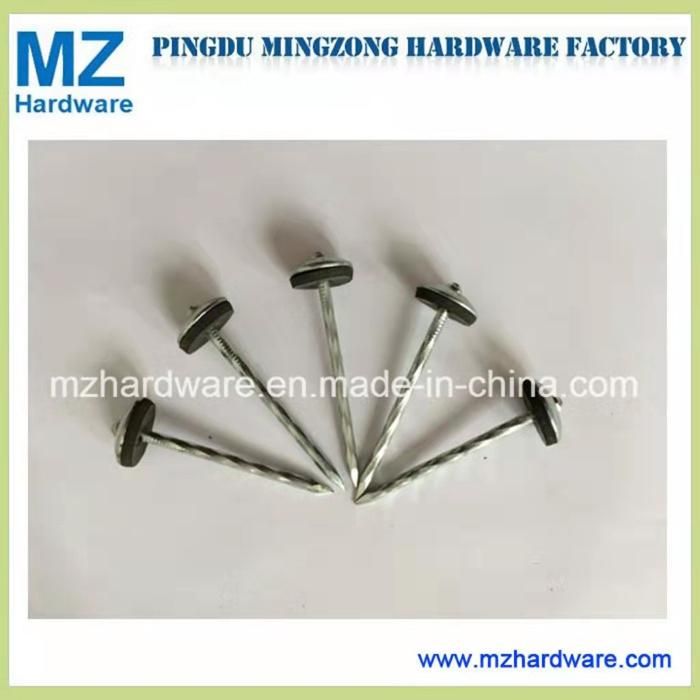Galvanized Nail Umbrella Head Nail Roofing Nail with Rubber Washer