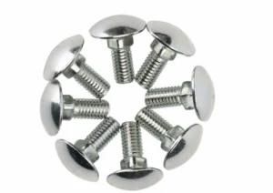 Flat Head Ring Metric Carriage Bolts OEM