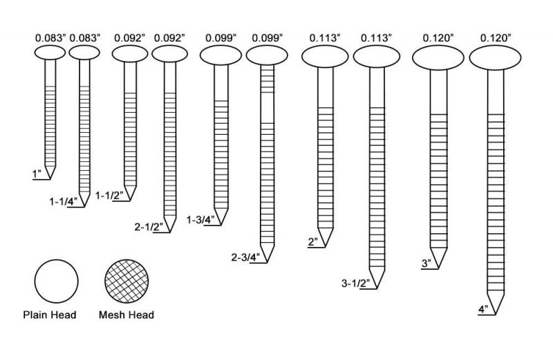 Screw Shank Pallet Coil Nails for Construction and Packing