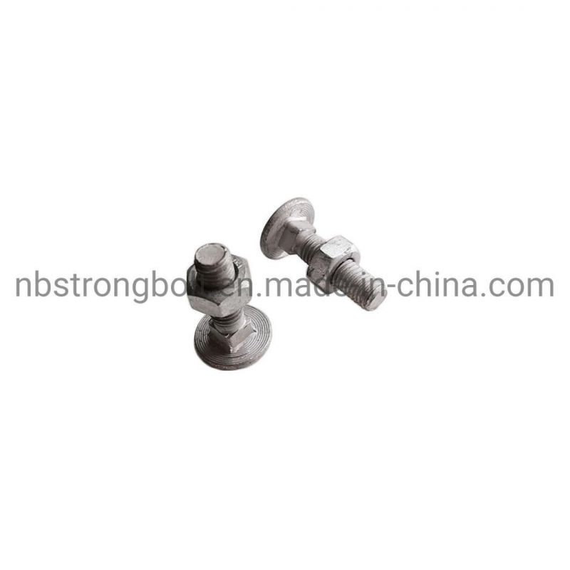 Carriage Bolt / Hex Nut with HDG