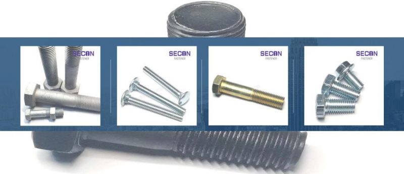 China Factory Hexagon Head Bolt/Hex Bolt and Nut/Hex Head Cap Screw/Carriage Bolt/Flange Bolt/Hex Heavy Bolt/Anchor Square Bolt/Stud Bolt/T Bolt/Shoulder U Bolt