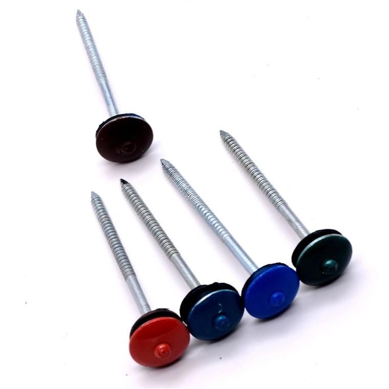 Umbrella Head Harden Electric Halvanized Roofing Nail