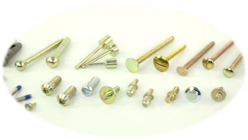 T Bolt Square Head Bolt Grade 8.8 Zinc Plated, SS304 Stainess Steel Bolt Motorcycle Parts