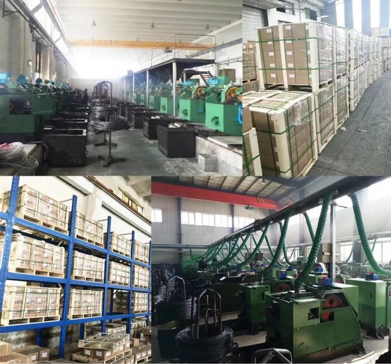 Custom Fastener Flat Plain Washer DIN125 F436m/Spring Washer DIN127/Customized Large Washer DIN9021/External Internal Lock/ Wave Washer/Aluminum Stainless Steel