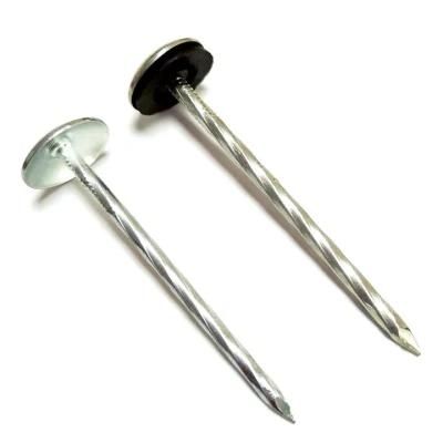 2.5 Inch Umbrella Head Roofing Nail/Galvanized/Screw/Factory