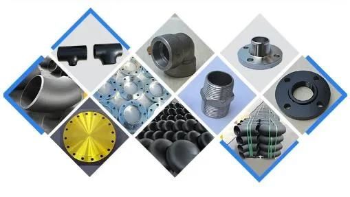 Fast Shipping DIN Stainless and Carbon Forging Steel Flange