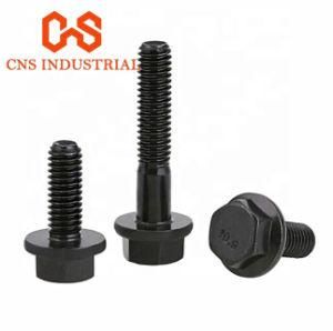 DIN6921 Stainless Steel M3-M56 Hex Head Flanged Bolt and Nut