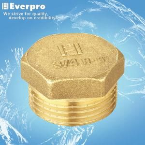 High Quality Brass Nipple/ Brass Fitting (EFC-DM38)
