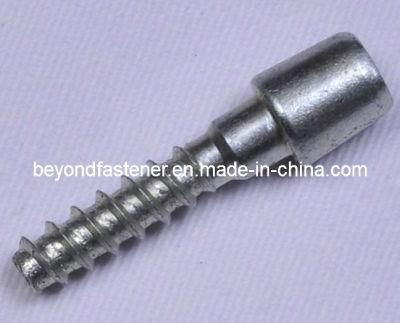 Step Screw /Hex Socket Bolt Machine Screw /Shoulder Screw