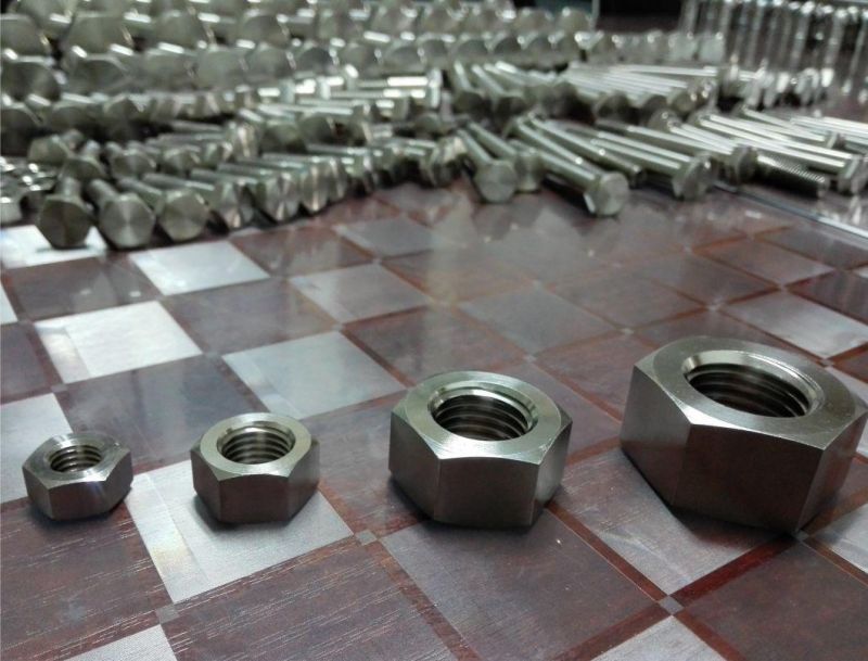 Titanium Parts/OEM Custom Precision CNC Machining Fastener Titanium Nuts