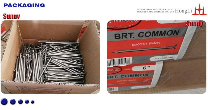 Zinc Ommon Nails Nail Common Nail Iron Nail Factory Factory Price Prego Clavos Acero Common Steel Building