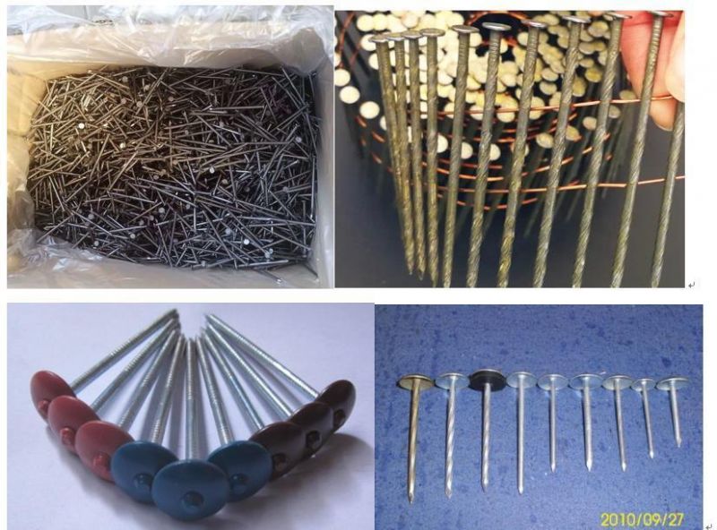 Factory Manufactured Cheap Price 3.125kg/Box X 8boxes/CTN 10bwgx2 1/2" 12bwgx2" Galvanized Roofing Nails with Smooth Shank Umbrella Head for Africa Market