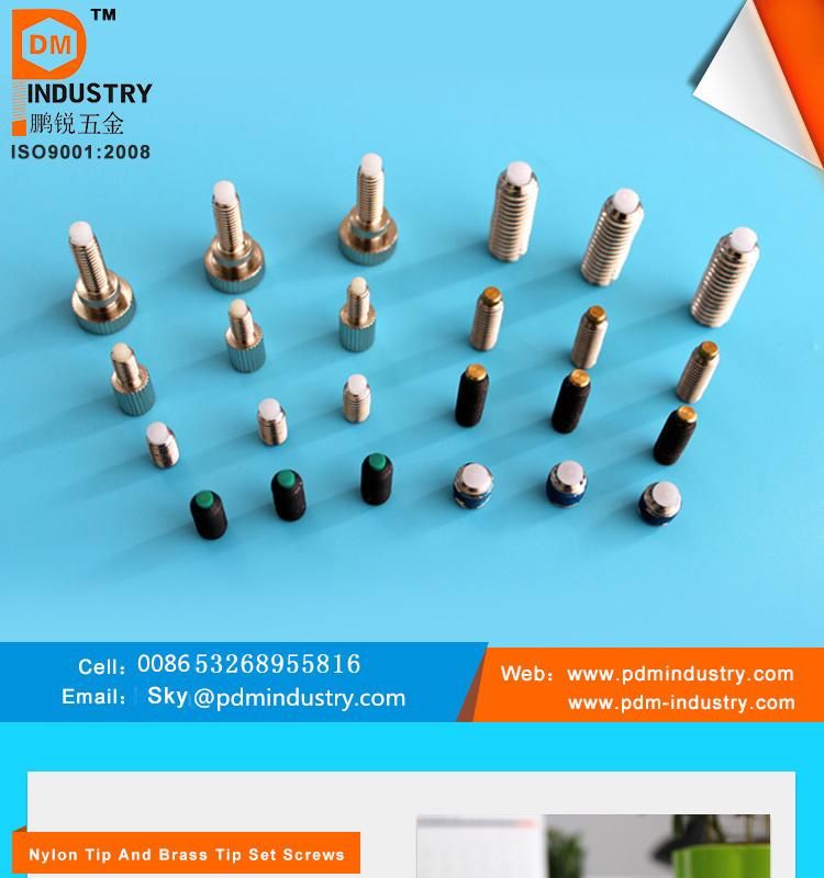 Stainless Steel Soft Nylon Tip Socket Set Screw Brass Tip Set Screw Set Screw with Soft Tip Set Screw with Nylon Tip Hex Head Set Screw Hex Socket Set Screw