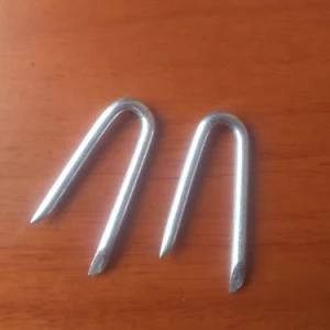 1&quot; Galvanized Netting Fence Staple U Shaped Nail