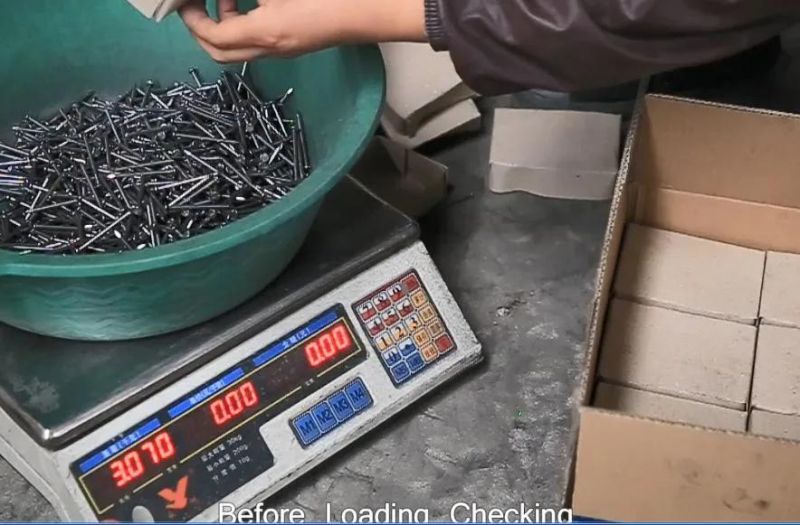 Best Price Common Nails/Concrete Steel Nail /Iron Nail/Polished Wire Nail/Common Round Nails/Metal Nails/Wood Nail