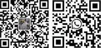 20ga Pneumatic Galvanized J4 Series Fine Wire Staples