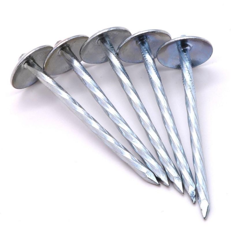 Zambia Namibia Market/Excellent Sales Iron Roofing Nails Corrugated Iron Nails 1 1/2 Inch