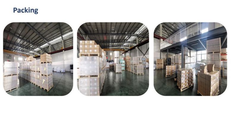 China Factory Price Stainless Steel 410 Hex Washer Head Self Drilling Screw Hex Flange Head Self Drilling Screw A2 304 A4 316 Stainless Steel Roofing Screw