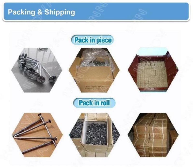 Umbrella Head Roofing Nails/Iron Nail/Steel Nail/Coil Nail/Galvanized Roofing Nail