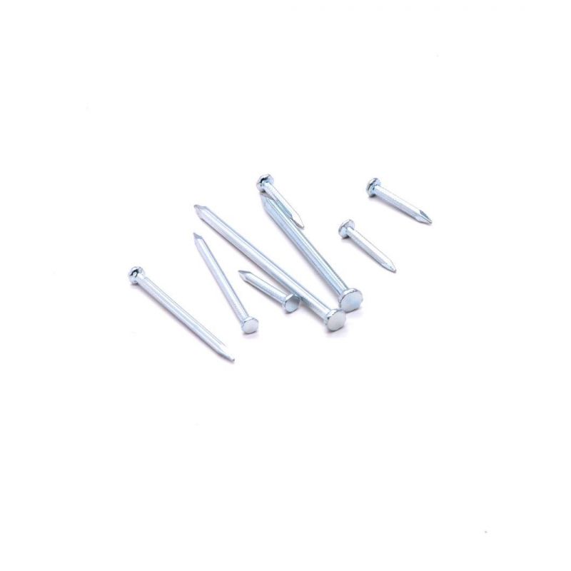 Top Quality Low Price Angular Spiral Steel Concrete Nails Hardened Steel Concrete Nails