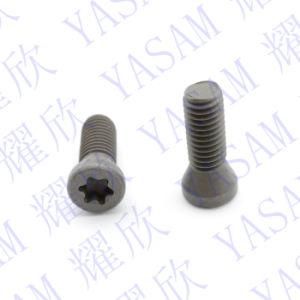 M4.0X8 M4.0X9 M4.0X10 M4.0X12 Torx Screws for Turning Tool Holder