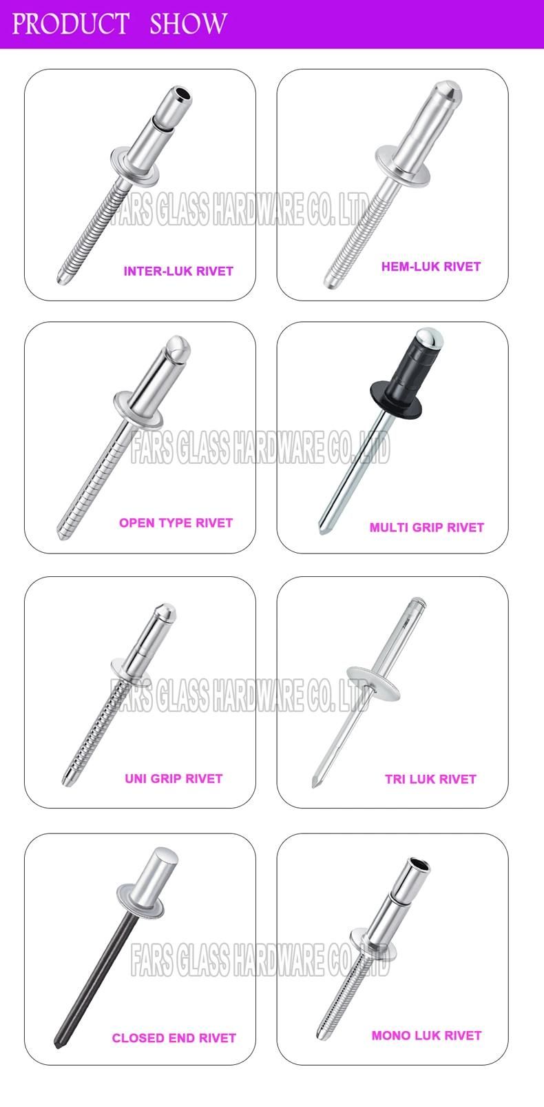 Colored Large Flange Aluminum Stainless Steel Blind Pop Rivet