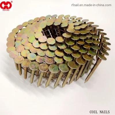 Hardware Fastener Direct Manufacturer in Anhui Galvanized Roofing Collated Nail in Anhui.