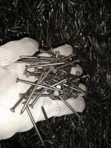 Common Wire Nail Professional Manufacturer in China