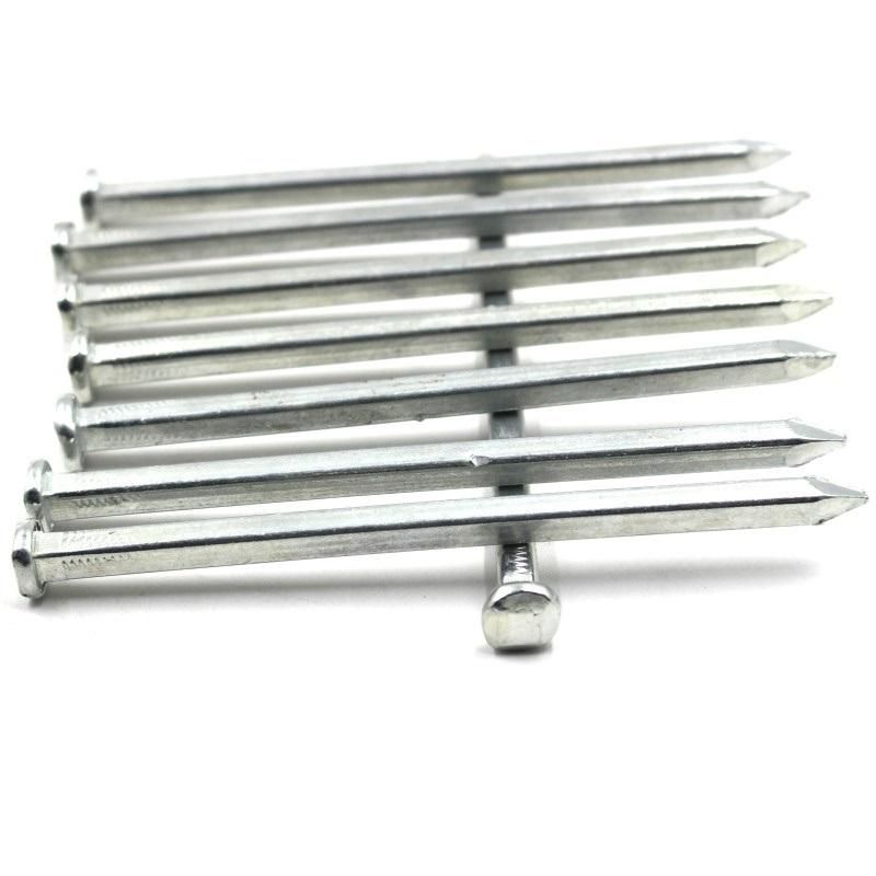 Factory Supply Electro Galvanized Square Boat Nail for Building