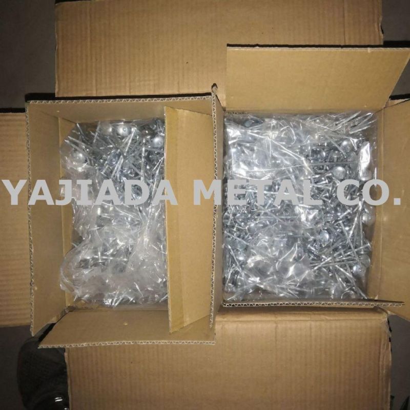Umbrella Head Roofing Nails, Galvnaized Roofing Screw