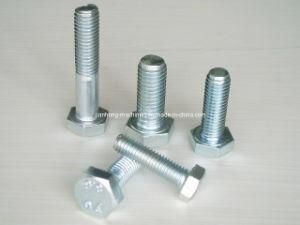 High Strength Hex Bolt Hexagon Bolt DIN933