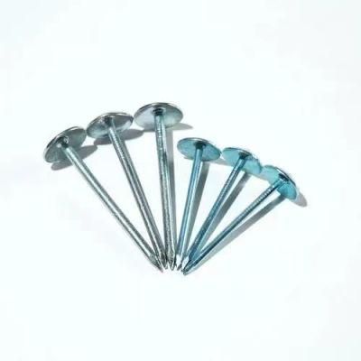 3&quot; Smooth Shank Galvanized Finished Umbrella Head Roofing Nails
