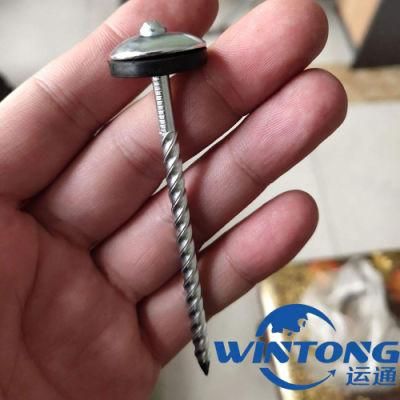 Galvanized Roofing Nail/Roofing Nail
