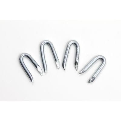 High Qua; Ity Polished/Galvanized U Type Nail