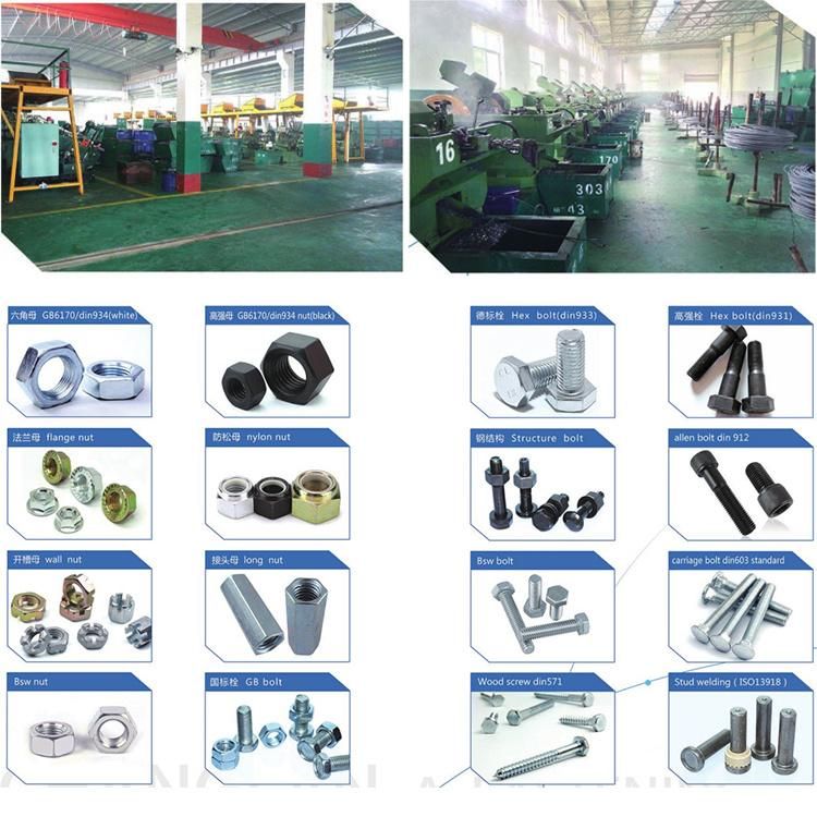Wholesale Quality 304 Stainless Steel Extension Screw Hex Bolts and Nuts Set
