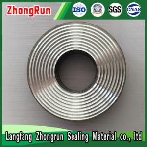 High Temperature Resistance of China Made Metal Corrugated Gasket