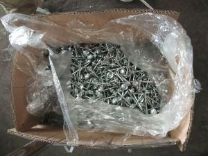 Roofing Nail Galvanized Umbrella Head Nail