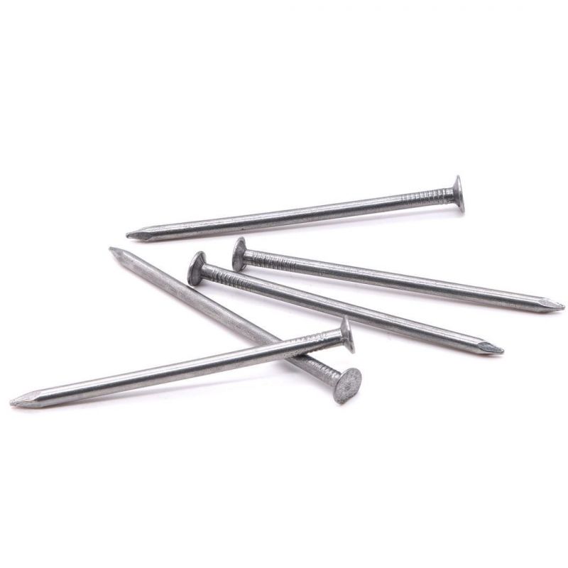 Nigeria Zambia Namibia Market/Most Popular Round Wire Nails Iron Nail Box Common Round Iron Wood Nail