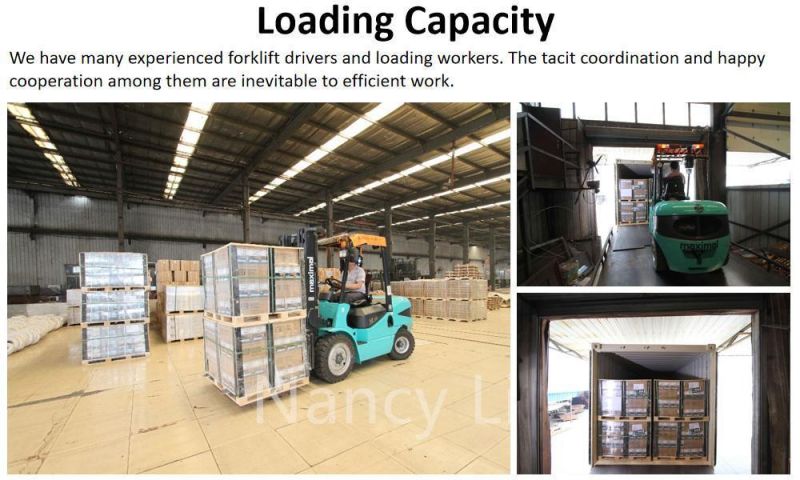 Paint/Galvanized Flat/Checkered Head Screw/Smooth/Ring Shank Coil Pallet Nails