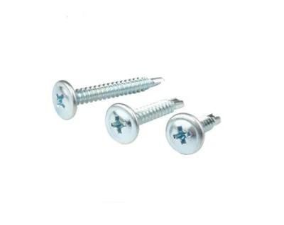 15-30 Days 3.5mm-6.5mm Tianjin Screw/Machine Screw/Tornillo Wood Screw/Roofing Screw with CE