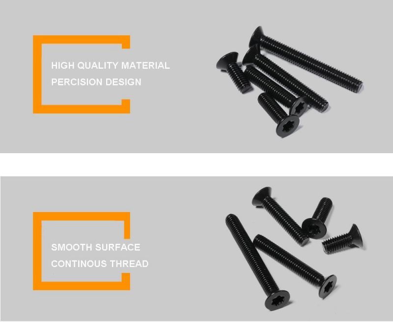 Torx Socket Head Cap Bolt Stainless Steel 304 Pan Head Torx Pillar Bolt 5/16-18 Torx Slotted Stripper Bolt