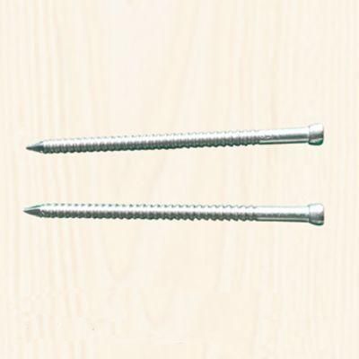 Stainless Steel Lost Head Annular Ring Nails