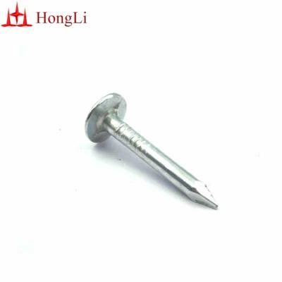 Roofing Nail/Clout Nail/Big Head Nail/Copper Nail/Ceiling Nails