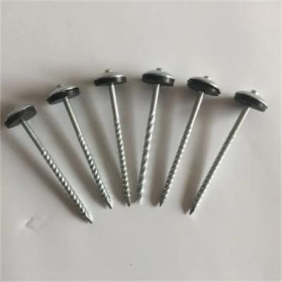 Bwg10 3.6 75 Galvanized Twisted Wire Semi-Adhesive Pad Roofing Nail/Galvanized Roofing Nail
