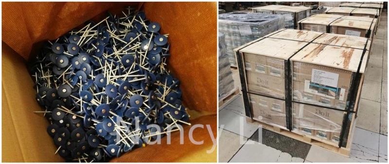 3/4"X12g Electro-Galvanized Plastic Cap Roofing Nails 2000 Piece