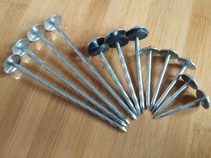 Roofing Nail with Ubrella Head Professional Manufacturer