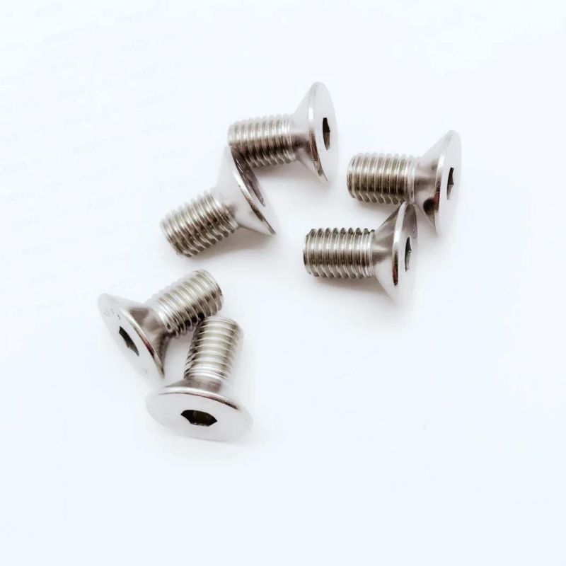 Stainless Steel Pan Head Csk Head Customized Head Machine Screws and Bolts