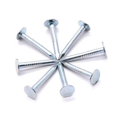 High Quality Galvanized Plain Common Steel Nails