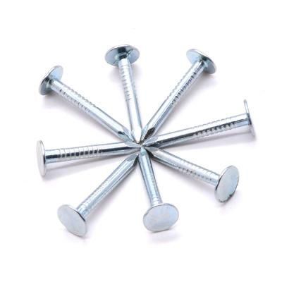 High Quality Galvanized Plain Common Steel Nails
