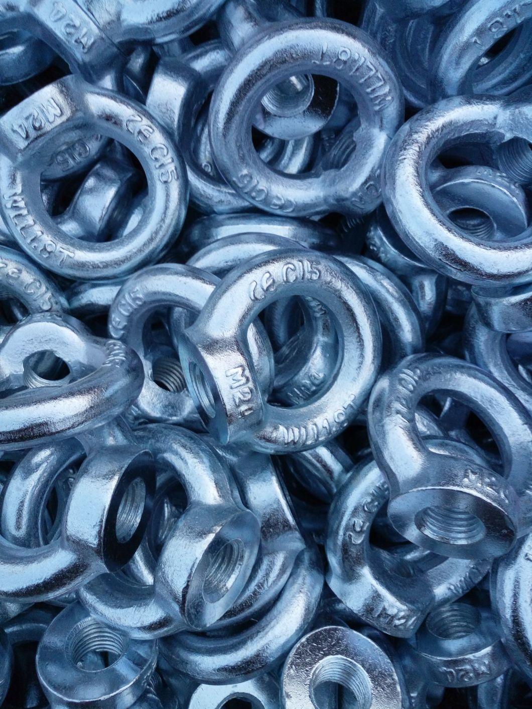 Stainless Steel Eye Bolt with DIN580 Standard